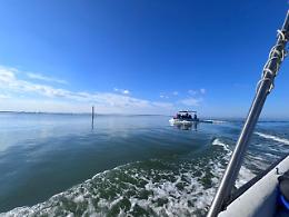 Il punto sul progetto “Blue Crab”, che studia la diffusione del granchio blu nel Nord Adriatico