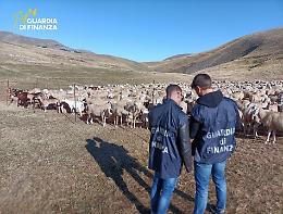 Maxi frode ai danni dell’Unione Europea: 48 imprenditori agricoli nei guai, sequestrati 17 milioni di euro