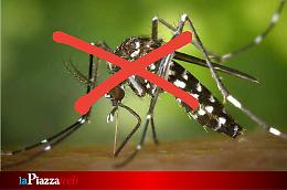 Chikungunya ferma in Veneto: nessun nuovo contagio autoctono registrato nell’ultima settimana