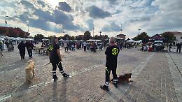 Prima festa degli animali domestici ad Albignasego