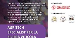 A Conegliano parte il corso “Agritech Specialist per la filiera viticola”