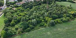 Rovigo scivola al 77° posto nell’Ecosistema Urbano