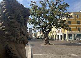 Este in Foto: i giovani reinventano il verde della città