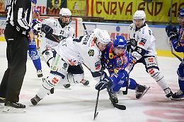 Turno infrasettimanale in Alto Adige per l'Asiago: i Leoni cercano riscatto contro gli Unterland Cavaliers a Egna