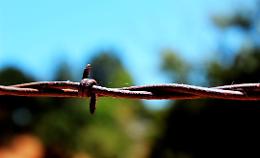 Caso di tetano nel Padovano: primi miglioramenti dopo settimane in rianimazione a Camposampiero