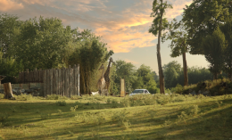 Ventuno tarantole salvate dal commercio illegale trovano casa al Parco Natura Viva