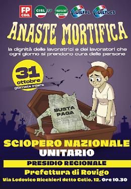 Lavoratori Anaste in piazza: presidio a Rovigo per dignità e contratti equi