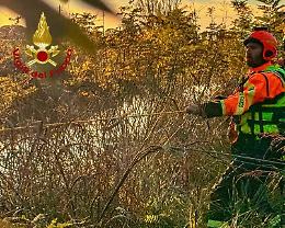 Barca incagliata nelle chiuse del Brenta: intervento dei Vigili del Fuoco a Noventa Padovana