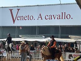 Fieracavalli 2025: un’edizione da record che guarda al futuro dell’equitazione