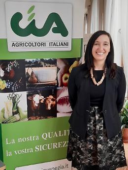 Senno (Cia Venezia): “Il fotovoltaico sui terreni agricoli nel veneziano va limitato”
