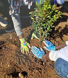 Verona respira: nasce il nuovo Parco Santa Teresa a Borgo Roma