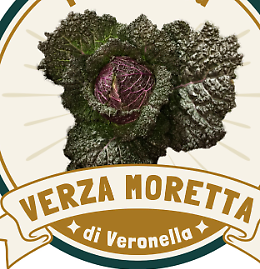 Veronella celebra la sua Verza Moretta: tra tradizione, biodiversità e sapori autentici