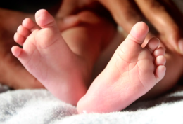 Il Veneto si illumina di viola: una giornata per dare voce ai nati troppo presto