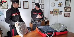 Mestre: arrestato 33enne con 5 kg di marijuana pronta per lo spaccio