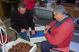 Bottrighe, nuovo record per la "Castagnata Butrigana"