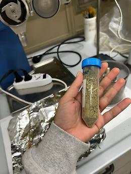 Area di Gesia, si attendono i responsi dei laboratori campani 
