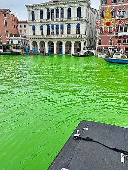 Macchia verde nel Canal Grande: allarme sotto il Ponte di Rialto