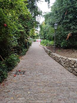 Parco di Palazzo Contarini torna a vivere: 80 alberi, anfiteatro e spazi per la comunità