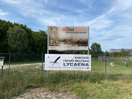 Salzano. Rubato lo striscione al Comitato &ldquo;Fronte dell&rsquo;Oasi Lycaena&rdquo;