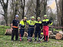 Fontaniva: esercitazione di abbattimento e messa in sicurezza degli alberi al parco Brenta Viva