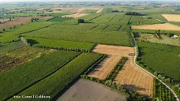 Arzergrande esplora il fotovoltaico su 48 ettari: fino a 100 mila euro e scontro sul paesaggio