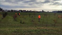 Ponte San Nicolò: nuovi boschi e più biodiversità, tutto a costo zero per il comune