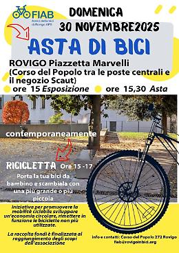 Domenica ecologica a Rovigo: doppio appuntamento con le bici firmato FIAB