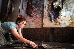 Silvia Canton: l'artista che racconta le ferite del bosco

