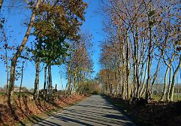 Loria investe 82.000 euro per la manutenzione di banchine e fossi: partono i lavori straordinari