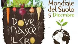 In Veneto spariscono centinaia di ettari di terreno fertile, tra cemento e cantieri cresce il rischio idrogeologico