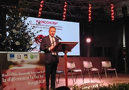 Il futuro del radicchio passa dalla filiera e dai mercati esteri