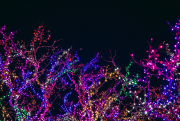 Trasforma il tuo giardino in un regno di Natale: idee e consigli per decorazioni da sogno