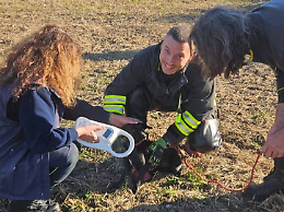 Vigili del fuoco salvano un cane rimasto intrappolato in un impianto di irrigazione a Maserada sul Piave