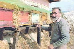 A Treviso un incontro dedicato alla visione ecologica nelle opere di Mario Rigoni Stern