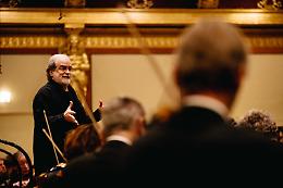 Frau Musika porta i concerti delle Festivit&agrave; tra Feltre, Verona e Vicenza