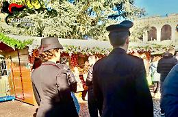 Tentato furto di abbigliamento natalizio nel centro storico di Verona 