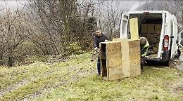 Rimessa in libert&agrave; a Recoaro Terme una cerva ferita curata dai volontari e dalla Polizia Provinciale di Vicenza