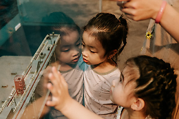 Museo Etnografico Dolomiti: una gita culturale durante le vacanze di Natale