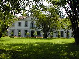 Mirano riscopre il parco storico di Villa Tessier: l&rsquo;area &egrave; gi&agrave; visibile da via Cavin di Sala dopo i lavori di riqualificazione