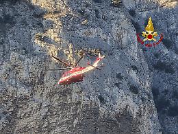 Rivoli Veronese, camoscio salvato dai Vigili del Fuoco