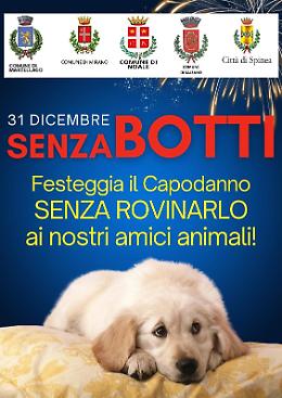 Alcol e fuochi d&rsquo;artificio a Capodanno, l&rsquo;appello dei sindaci del Miranese per proteggere gli animali domestici