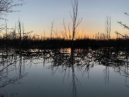 Oasi Lycaena, arriva il bando della Citt&agrave; Metropolitana di Venezia