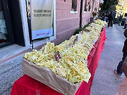 Radicchio variegato di Castelfranco Veneto Igp in festa: tradizione, export e giovani produttori