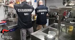 Padova, controlli del NAS: tre attivit&agrave; sanzionate per carenze igieniche