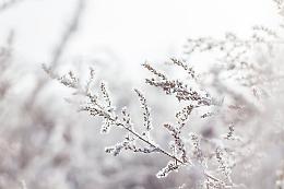 Freddo polare in Veneto: la morsa del gelo colpisce anche le spiagge, minime a -14&deg;C
