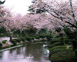 Treviso, in bicicletta lungo la Nakasendo: Caterina Zanirato racconta il Giappone autentico 