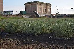 Formare i leader del rischio idrogeologico: l&rsquo;alleanza tra Universit&agrave; di Padova e Consorzio Adige Euganeo