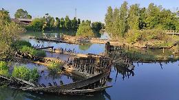 Trevigiano: diecimila firme per salvare il Cimitero dei Burci