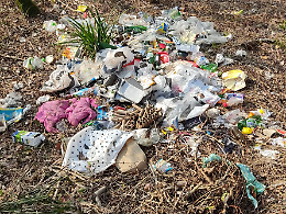 Allarme rifiuti sul Brenta: quasi 40 tonnellate raccolte solo nel 2025 dagli argini tra Cittadella e Fontaniva