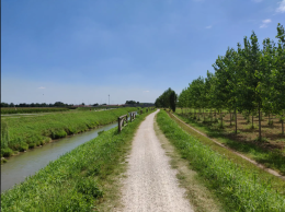 Al via i lavori di ripristino spondale&nbsp;sul Muson dei Sassi e nuovo rinnovo della convenzione con il Consorzio di bonifica Acque Risorgive per gli interventi urgenti